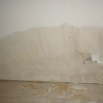 Here it’s evident inside the household Rising Damp creeping up the walls of your home causing mould and other health problems.